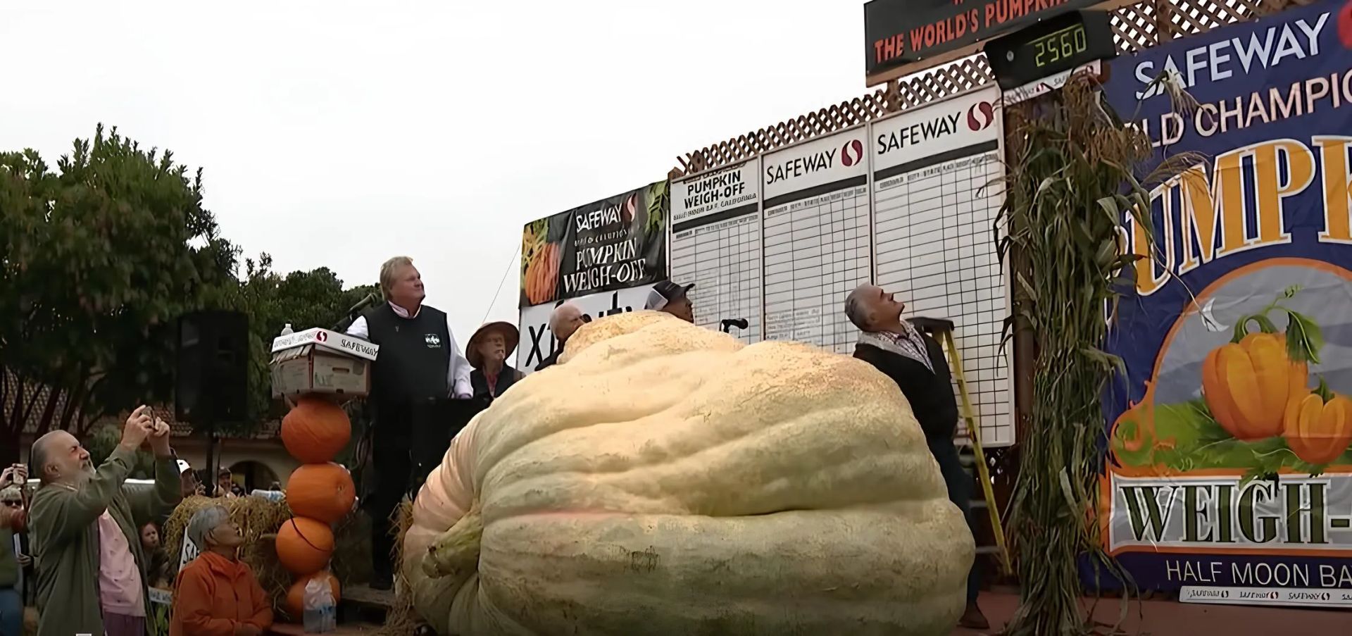 Такого великана непросто было транспортировать для взвешивания!