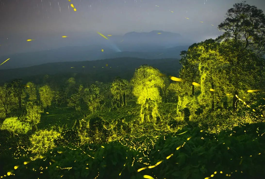 Фантастичне світло від Шрірама Муралі