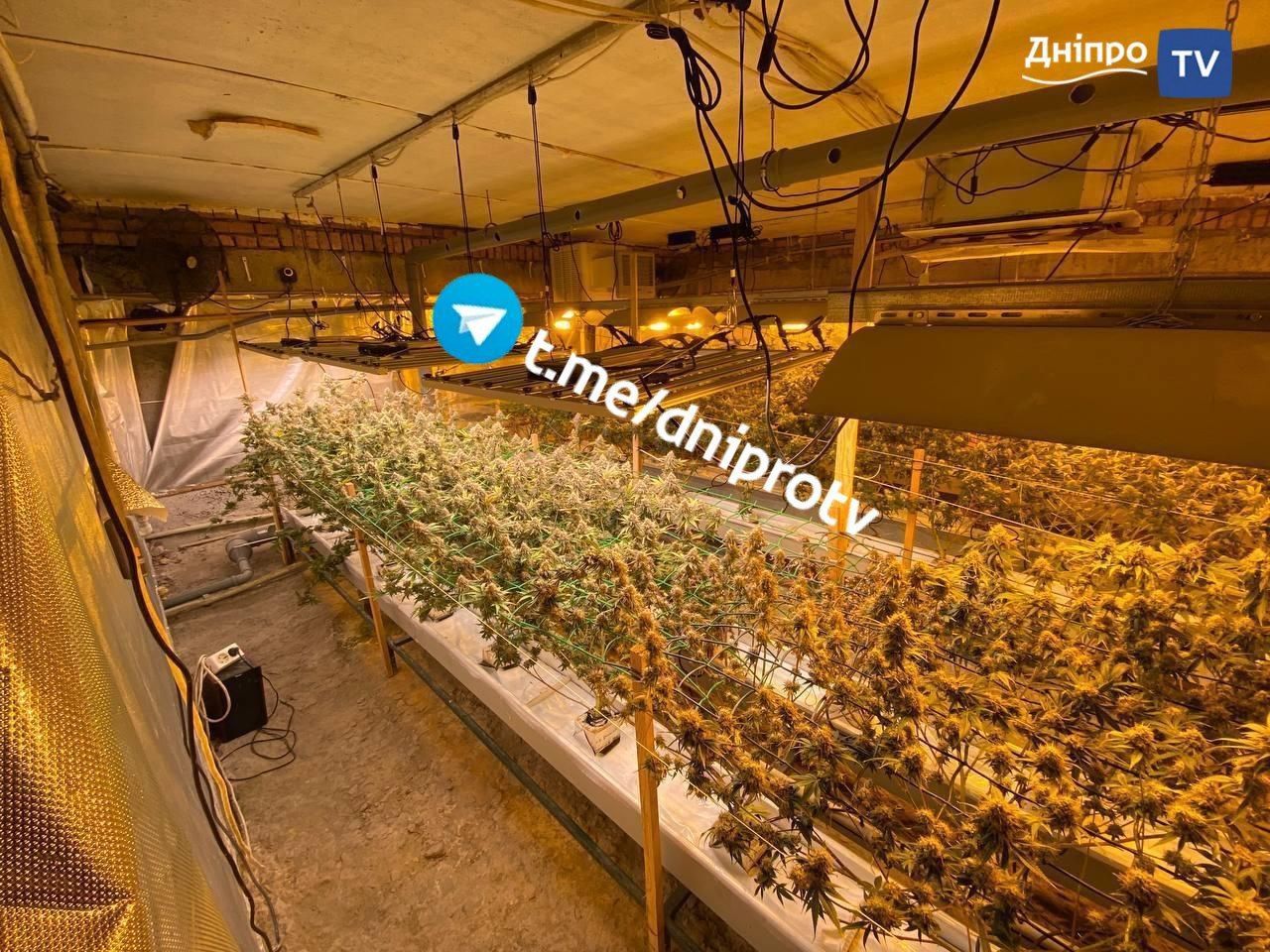 В Днепре задержан майор СБУ по подозрению в "крышевании" нарколабораторий, - СМИ 1