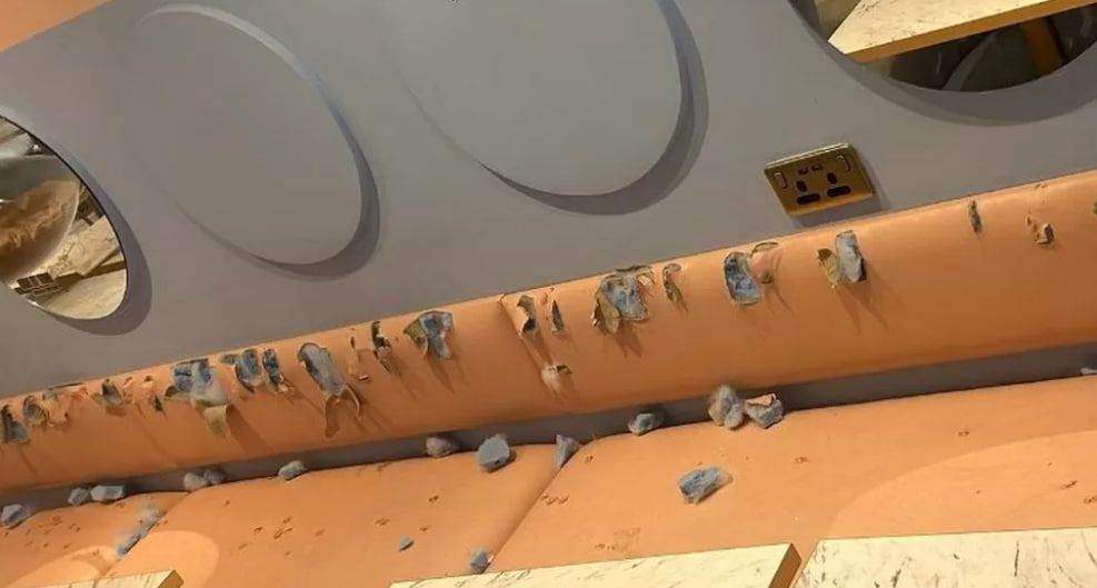 Лису поймали с поличным во время вандализма