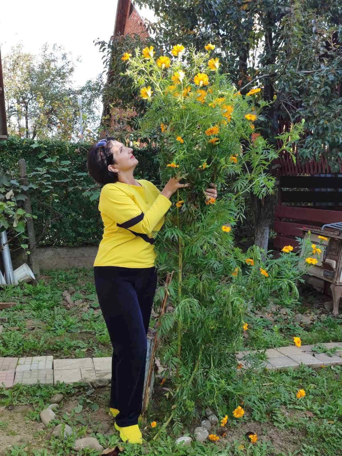 Как это случилось, никто не понял!