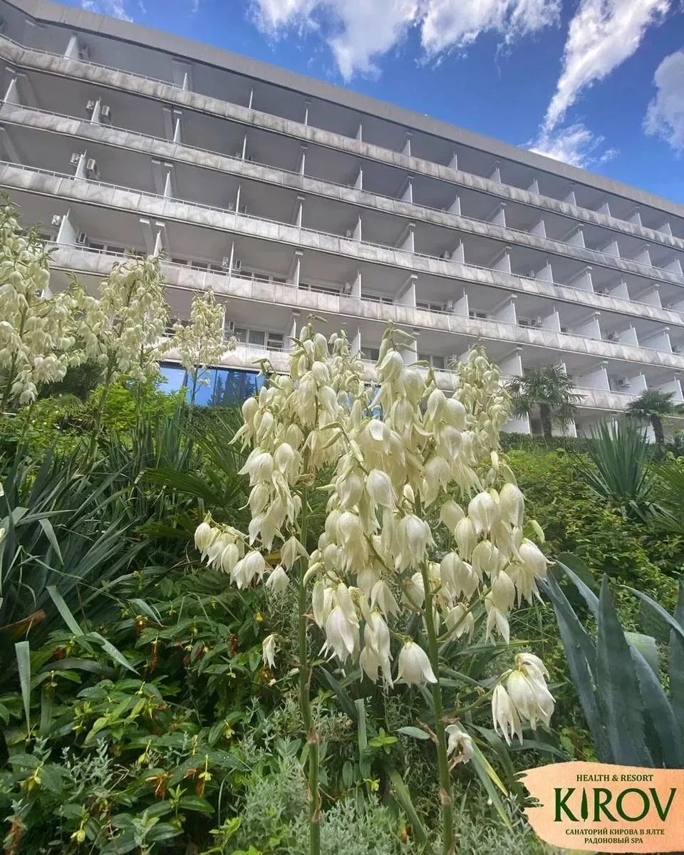 Санаторий имени Кирова Санаторий имени Кирова