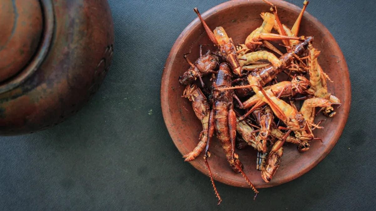 Цвіркуни дуже поживні та менше шкодять середовищу!