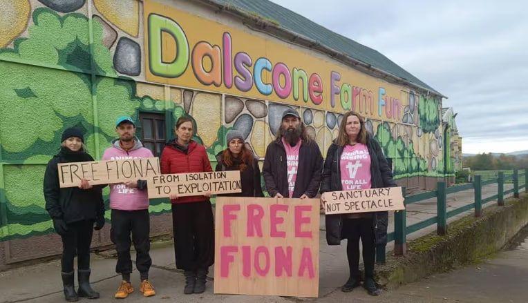 Animal Rising заявила, що це був мирний протест