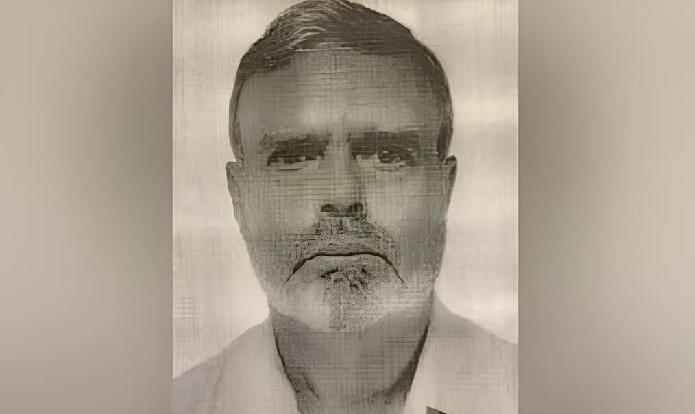 Левін вів протизаконну діяльність і мав справи з антикваріатом. Він торгував краденими іконами. 