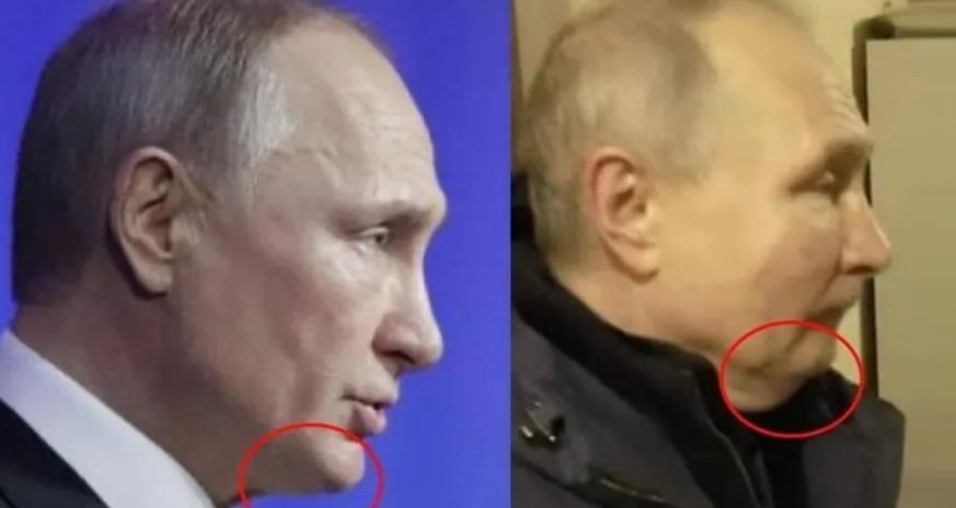 Двійники путіна. Фото: Вild Двійники путіна. Фото: Вild