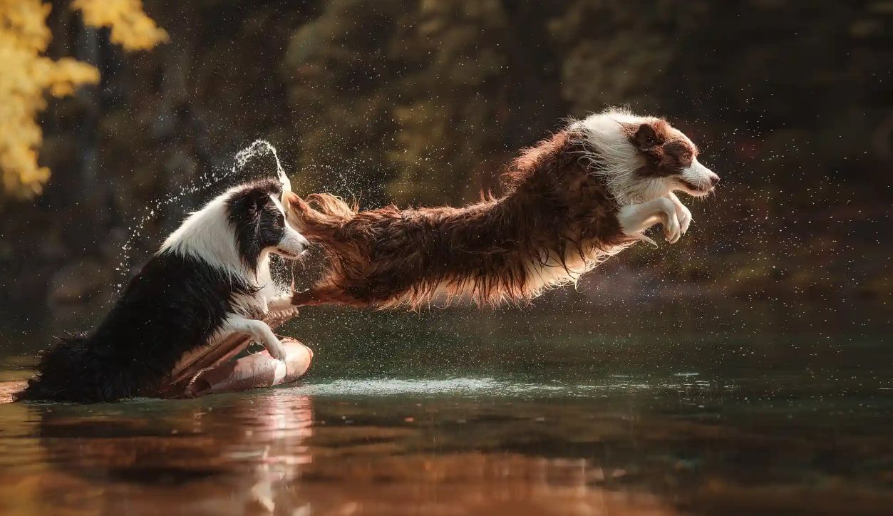 Лето, счастливый день. Фотография: He Huapei Лето, счастливый день. Фотография: He Huapei