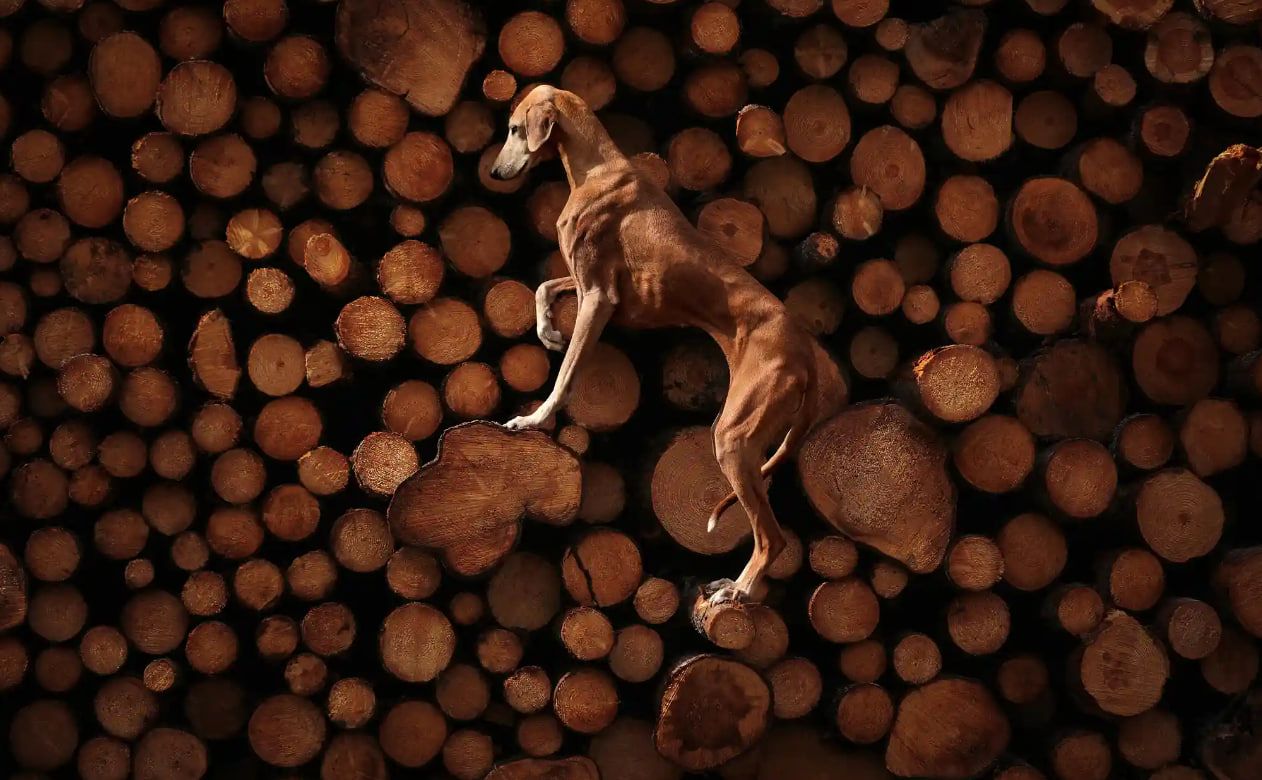 Восходящая безмятежность. Фотография: Sanna Sander Восходящая безмятежность. Фотография: Sanna Sander
