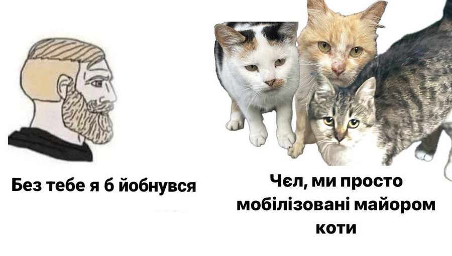 Военный делится мемами о котике на странице в Х. Военный делится мемами о котике на странице в Х.