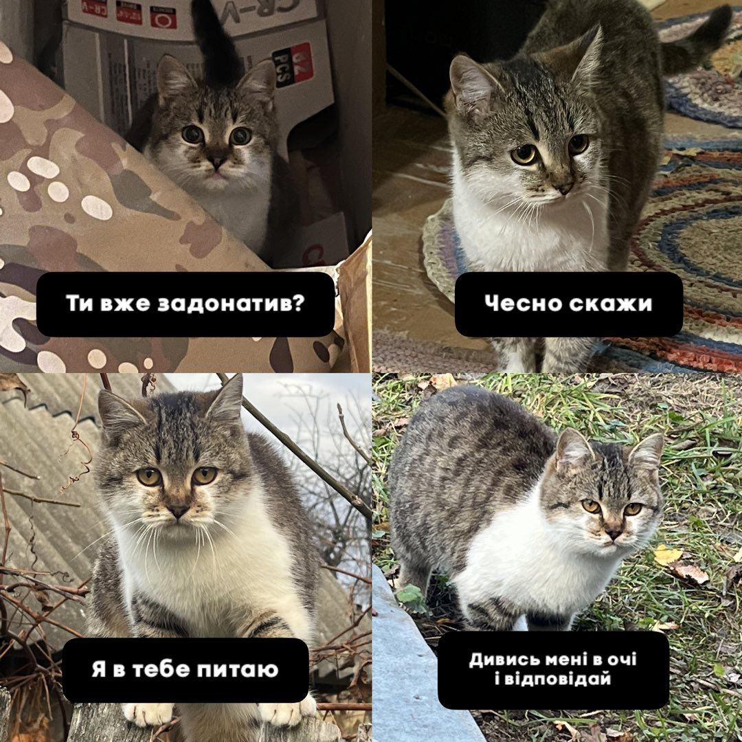 Сырский мотивирует донатить на ЗеСеУ! Сырский мотивирует донатить на ЗеСеУ!