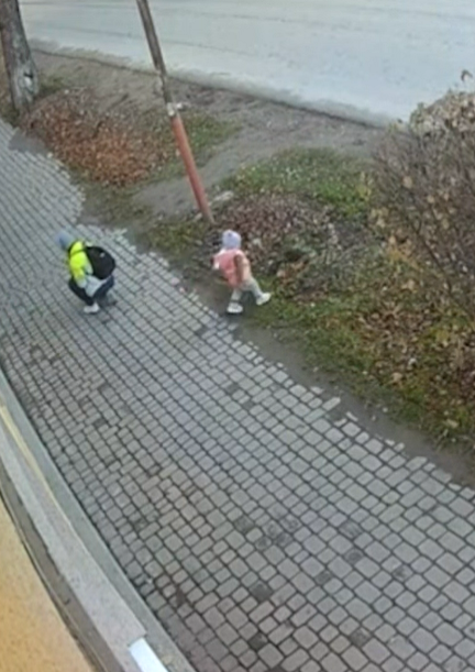 Дівчинка вибігла на дорогу, поки мати відволіклась Дівчинка вибігла на дорогу, поки мати відволіклась