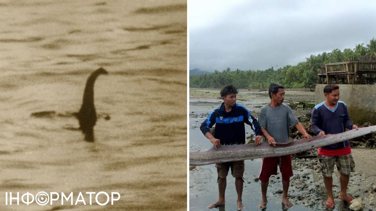 Нессі могло бути гігантським вугром!