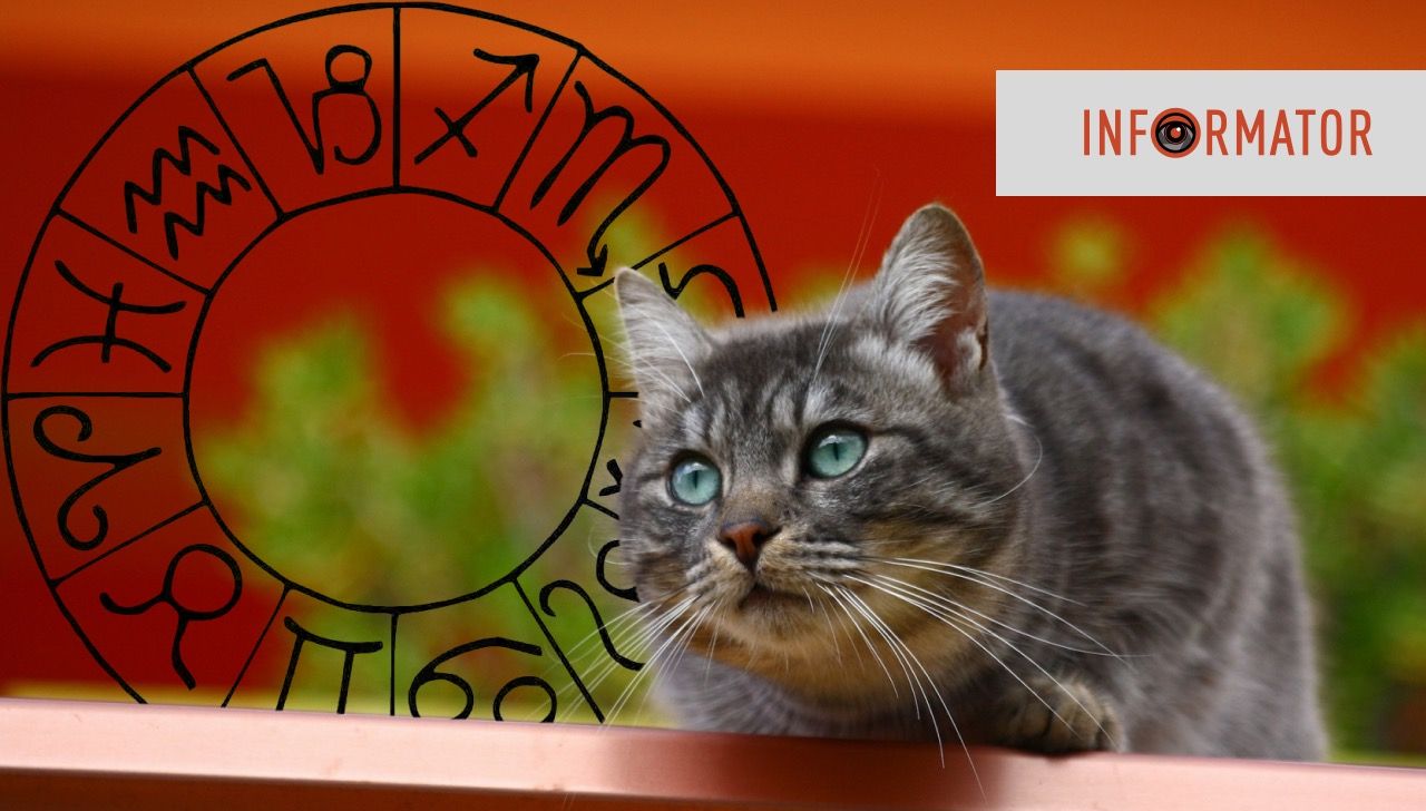 Гороскоп на 15 ноября 2023 года.