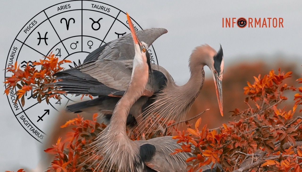 Гороскоп на 17 листопада 2023 року.