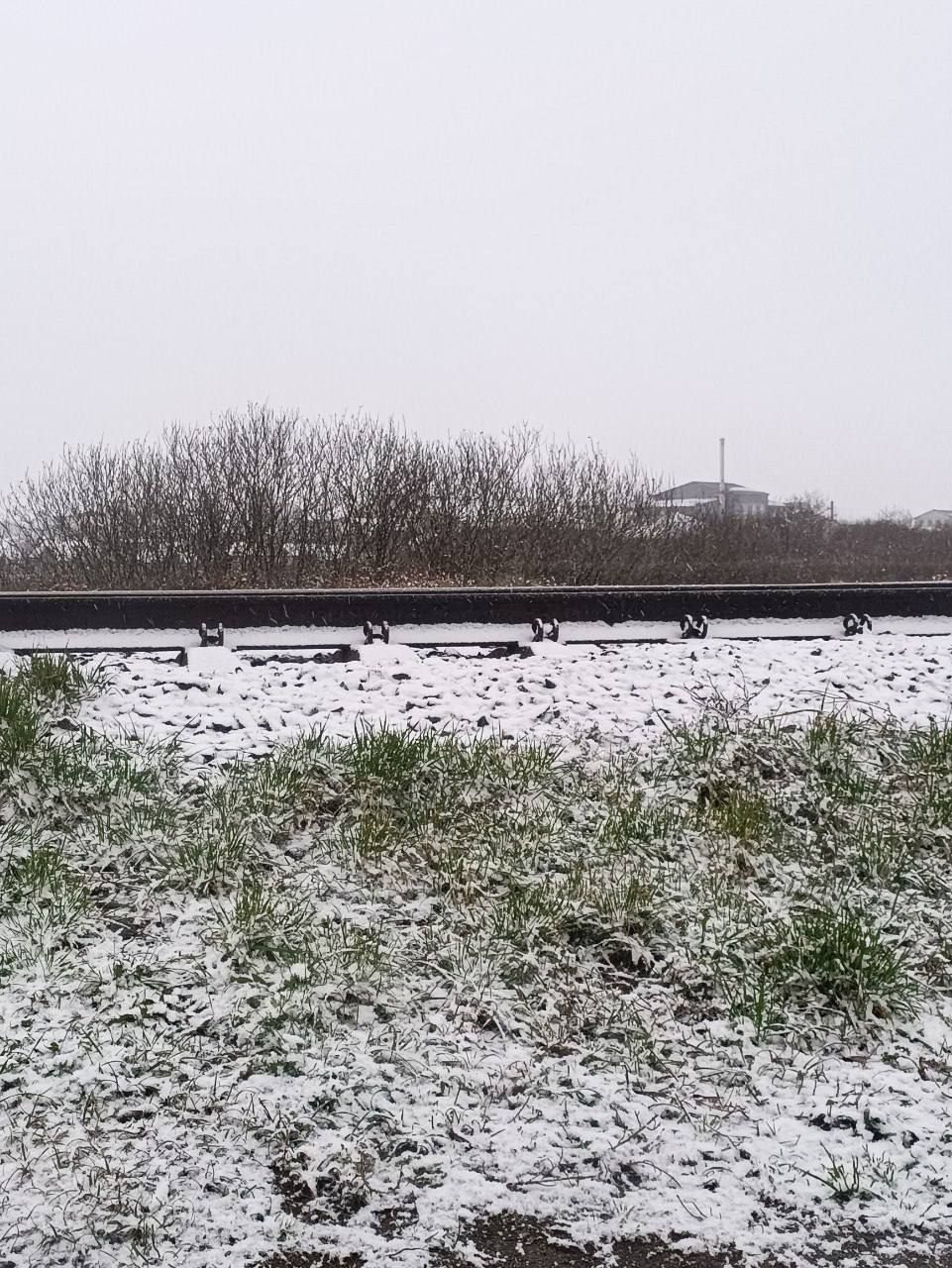 Снегопад в Ровно Снегопад в Ровно