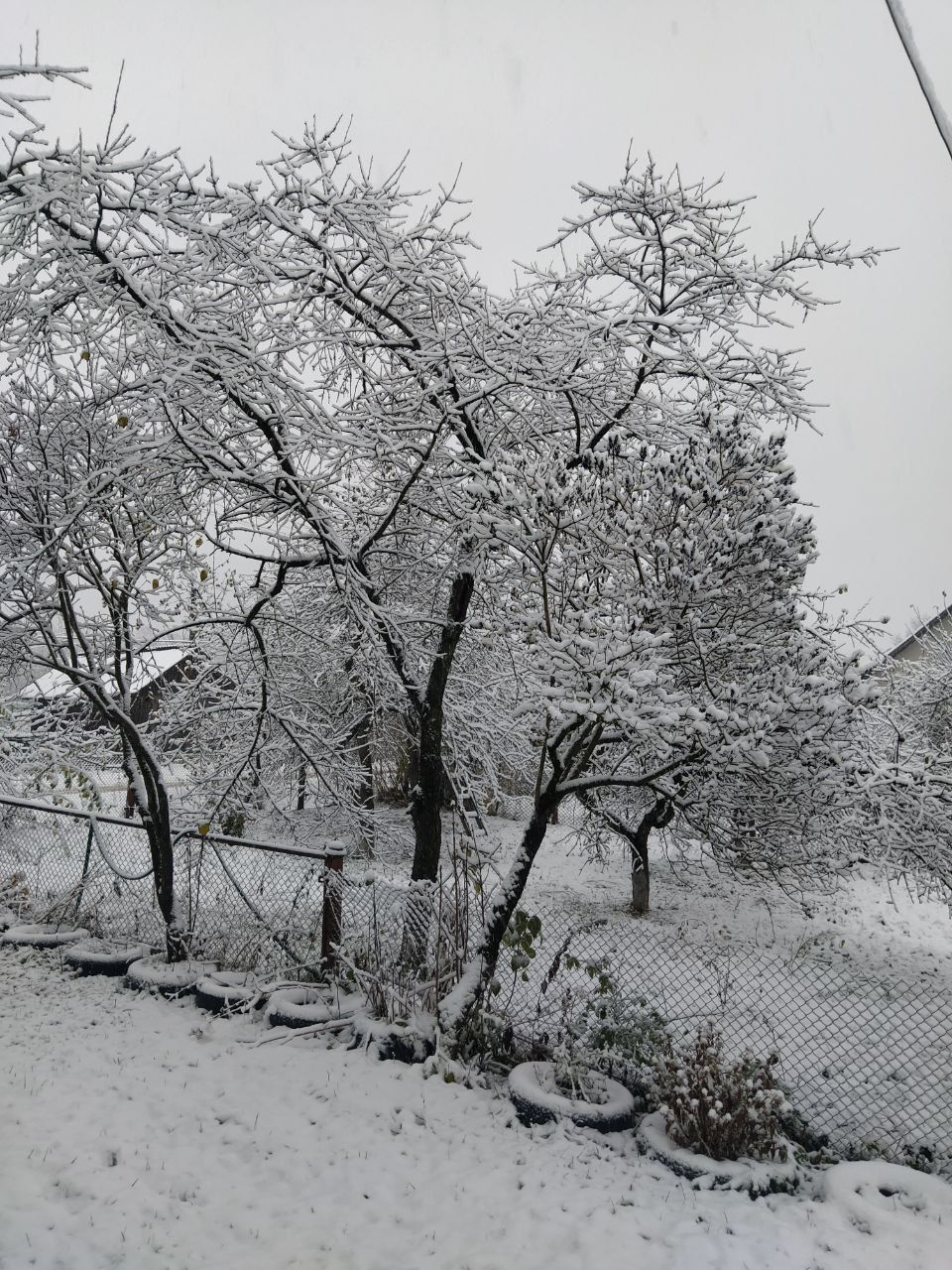 Снежные пейзажи на Буковине Снежные пейзажи на Буковине