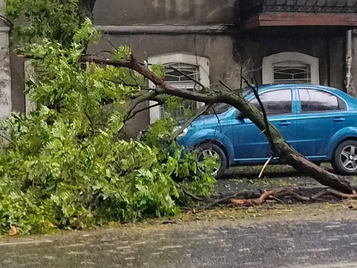 Дерево чуть не сокрушило автомобиль в Одессе Дерево чуть не сокрушило автомобиль в Одессе