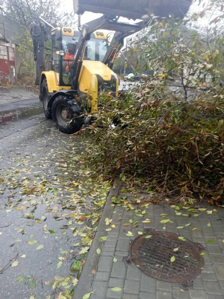 Коммунальщики убирают деревья с дороги Коммунальщики убирают деревья с дороги
