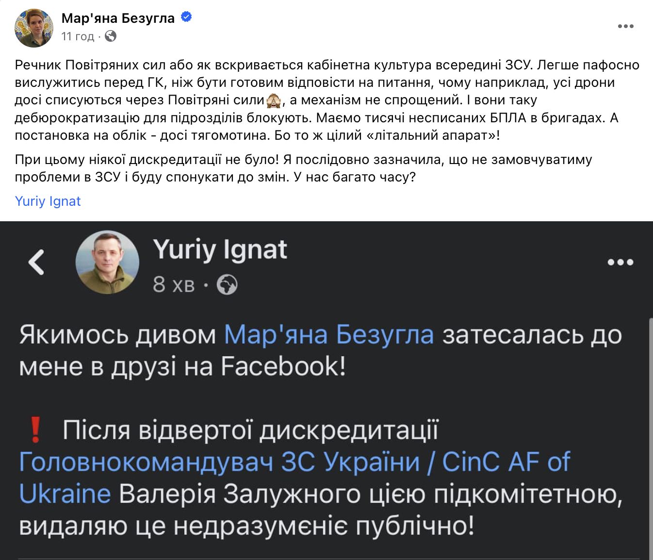 Нардепка Безугла раскритиковала Залужного и Воздушные силы: в чем состоит конфликт 3