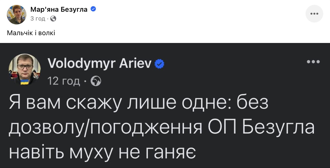 Нардепка Безуглая раскритиковала Залужного и Воздушные силы: в чем заключается конфликт 5