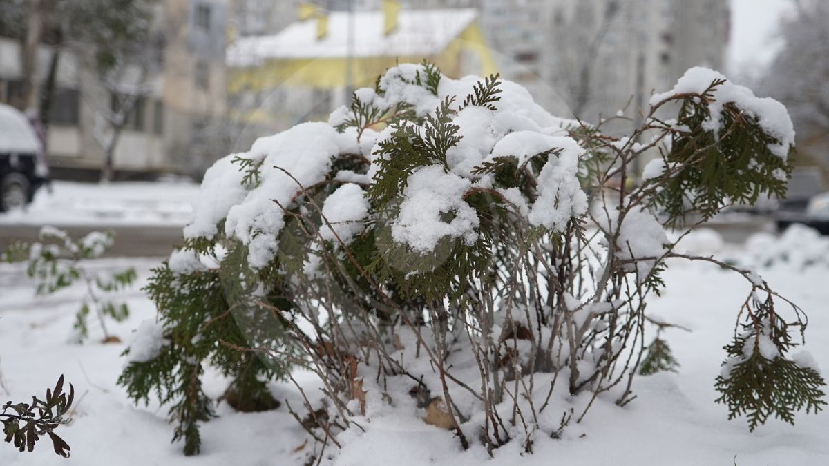 Снег в Киеве