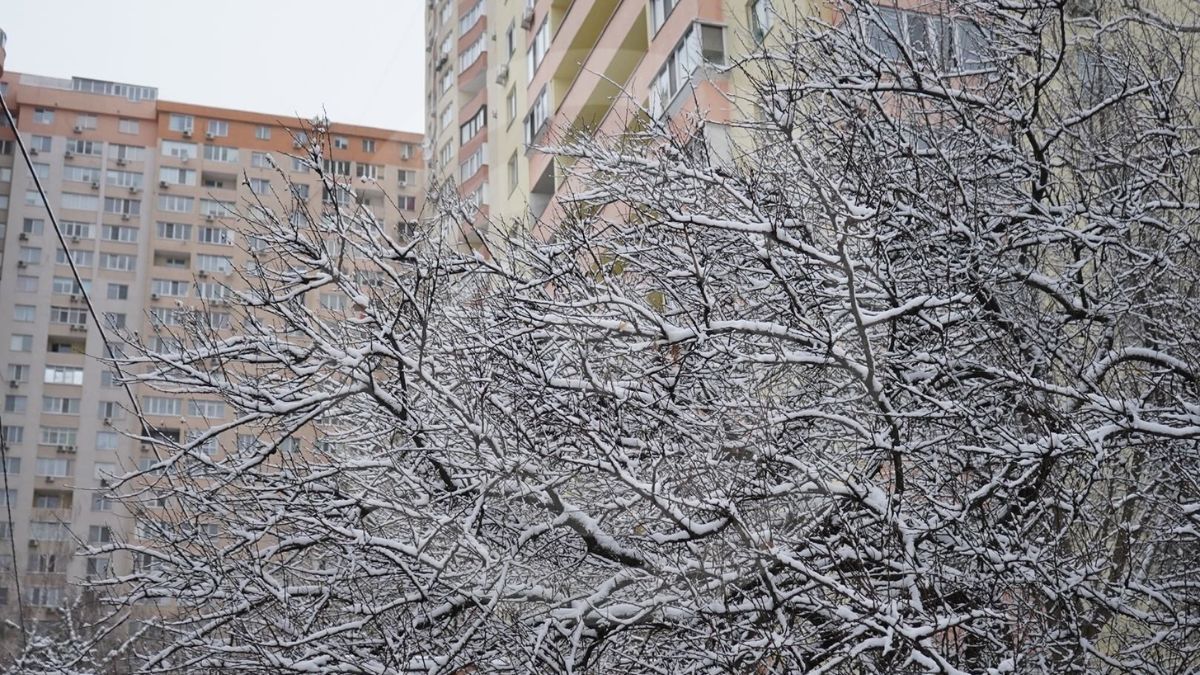 Снег в Киеве