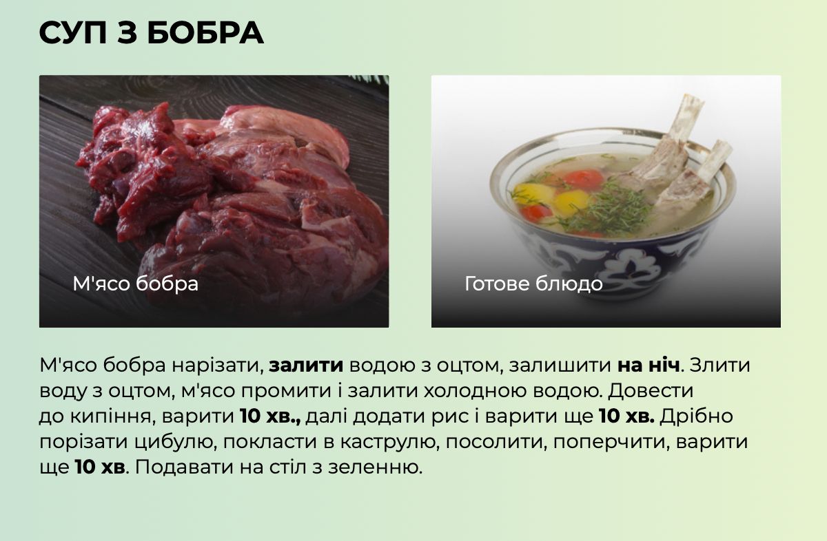 Суп з бобра