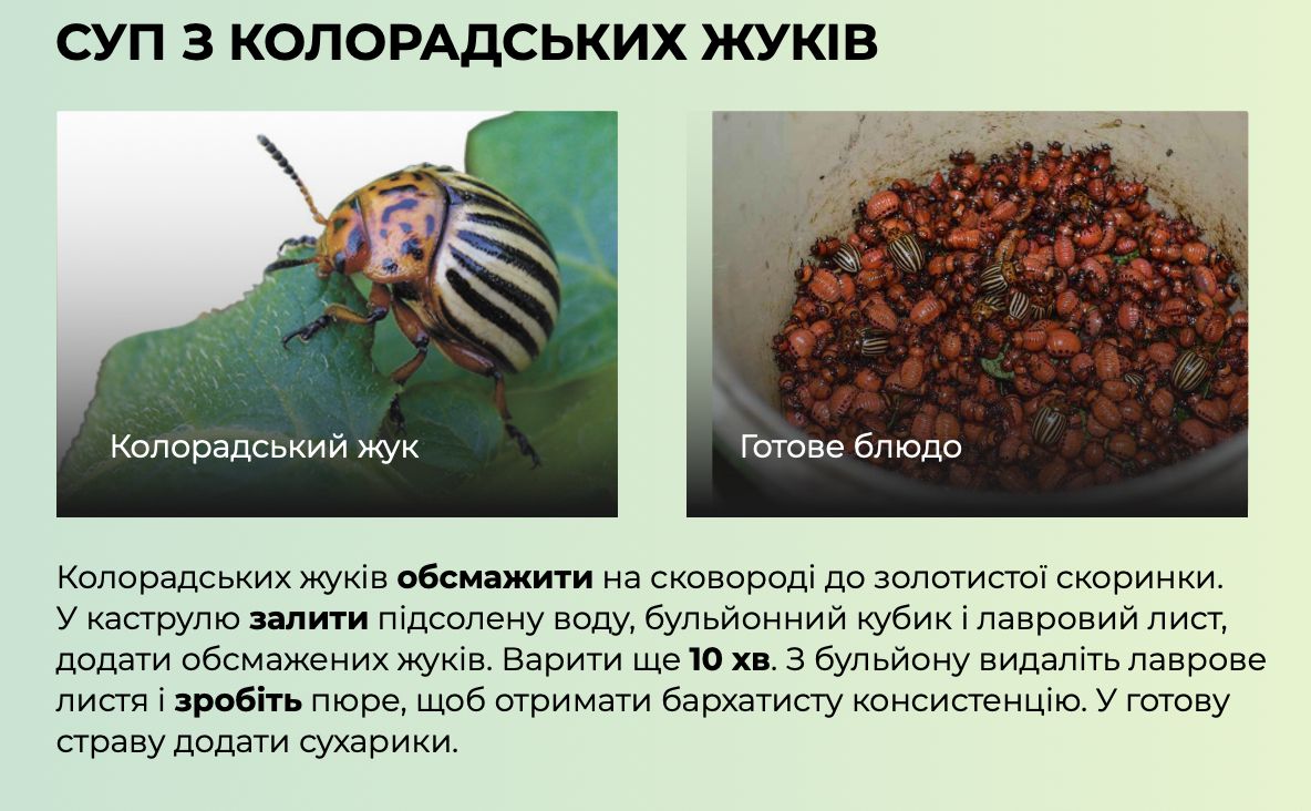 Різотто з голубом та суп з бобра для Симоньян: пропагандисти рф поширюють фейкову книгу рецептів від Мінагро 4