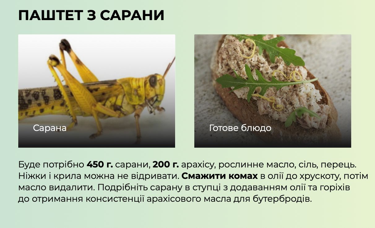 Різотто з голубом та суп з бобра для Симоньян: пропагандисти рф поширюють фейкову книгу рецептів від Мінагро 5