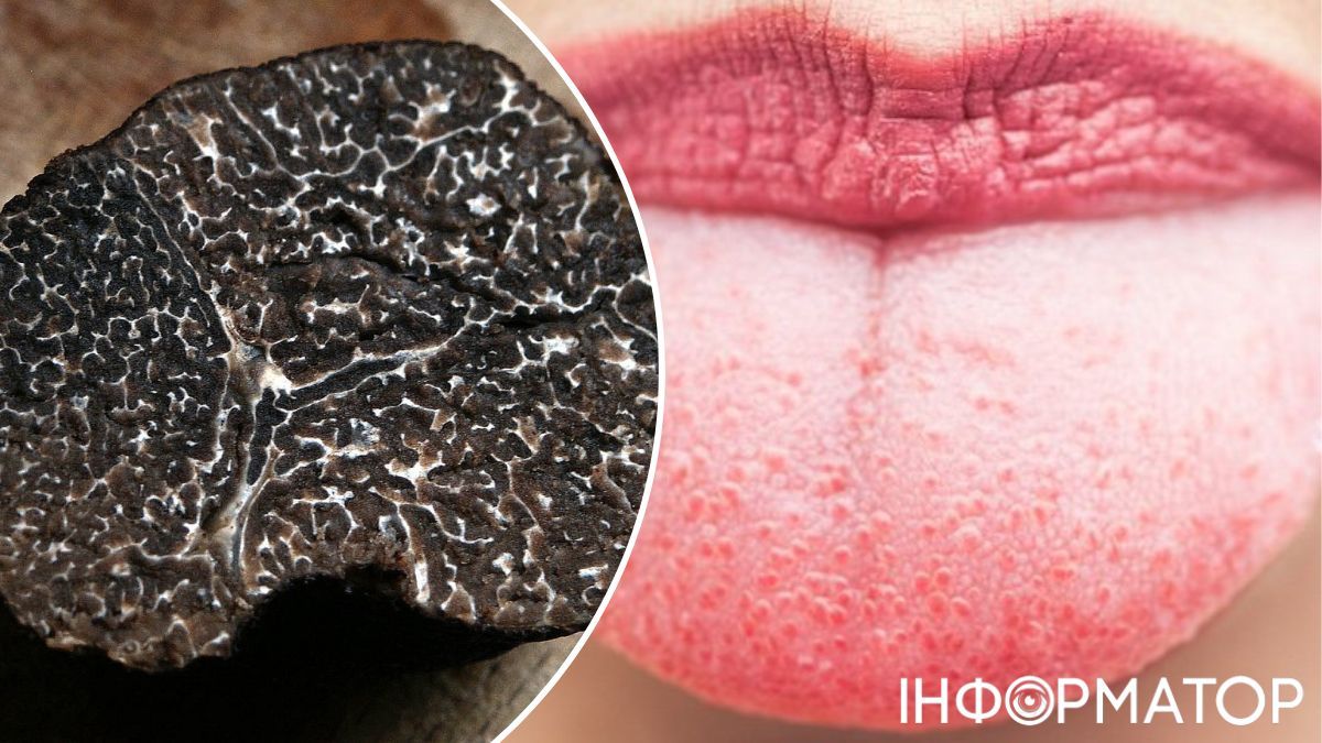 Главный принцип прост: чтобы трюфель понравился, его нужно съесть! Главный принцип прост: чтобы трюфель понравился, его нужно съесть!