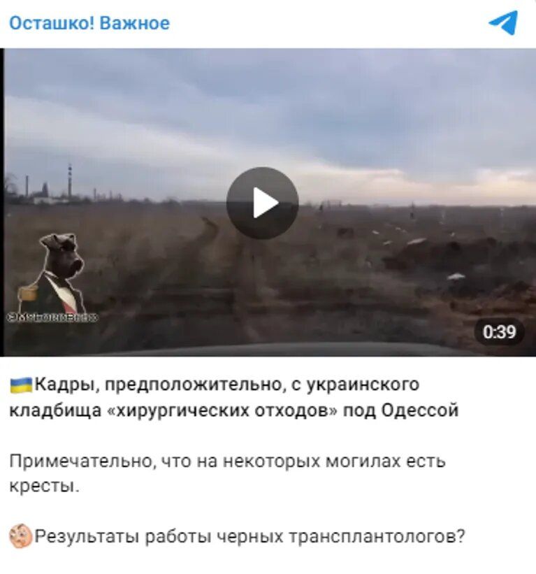 Пропагандисты придумали новый фейк об Украине: при чем здесь Одесса и ее кладбище 1
