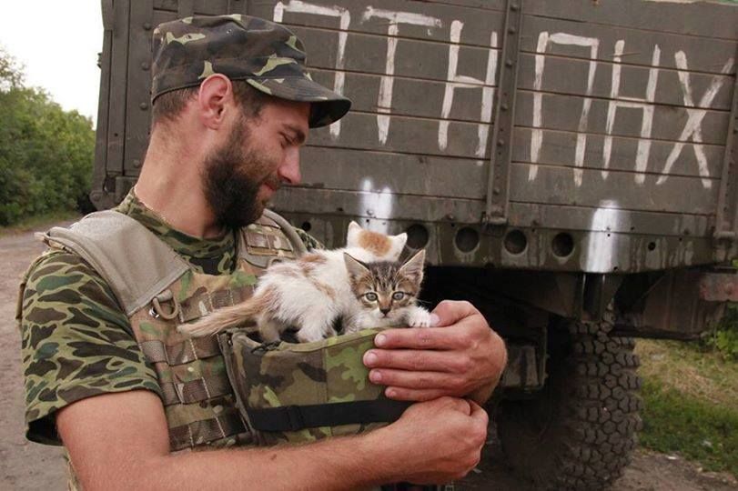 Войска с когтями: Украина начала отправлять на фронт кошек 1