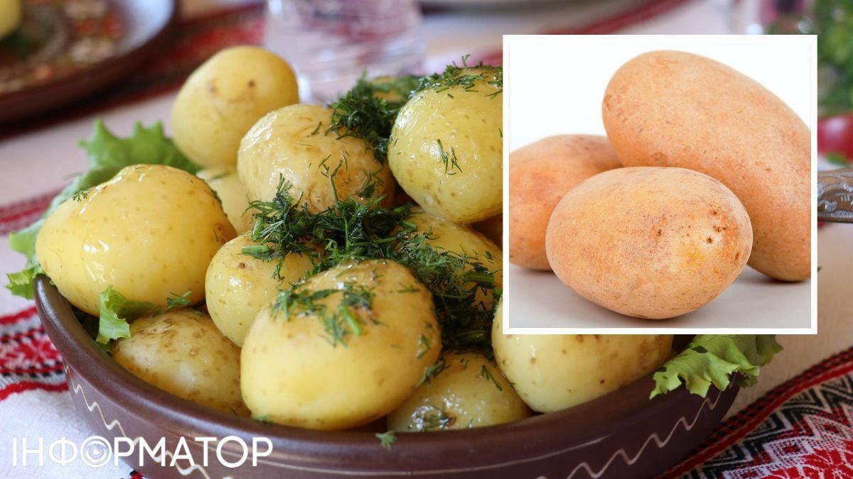 Вашій увазі