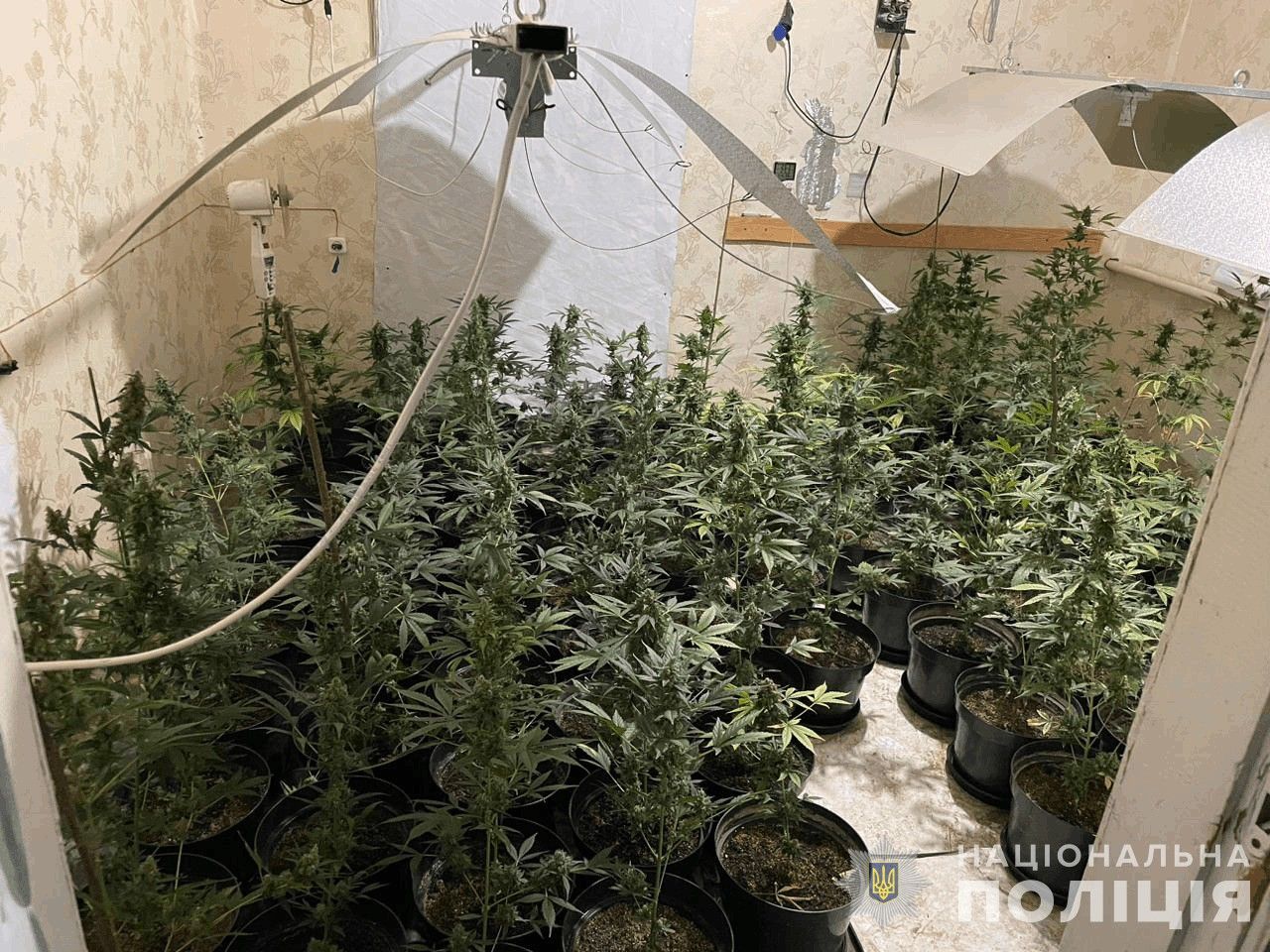 На Черкасщине разоблачили наркогруппировку, которая зарабатывала 5 млн грн ежемесячно: в Офисе генпрокурора раскрыли подробности 3