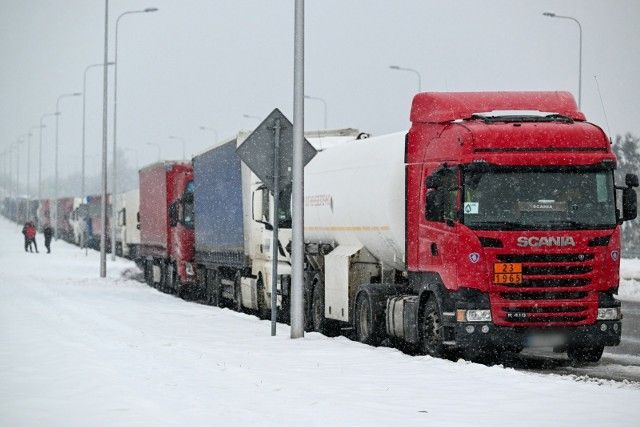 Большая очередь на регистрацию грузовиков в Медице Большая очередь на регистрацию грузовиков в Медице