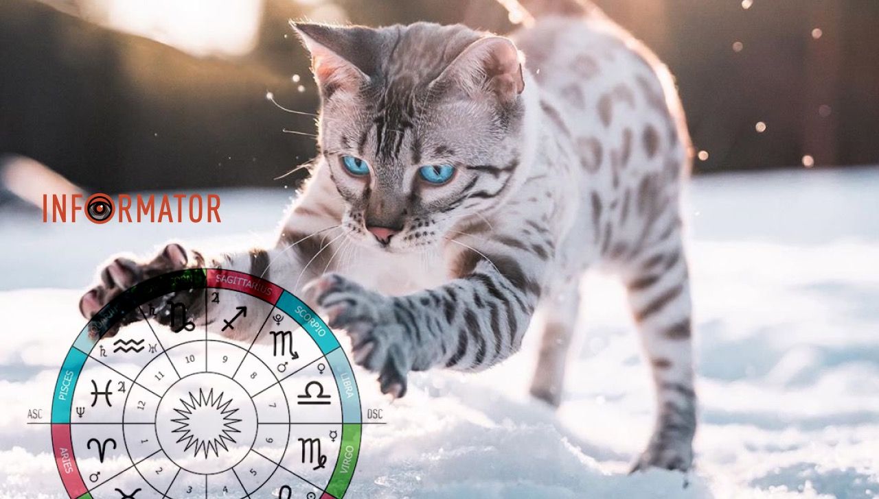 Гороскоп на 11 грудня 2023 року.