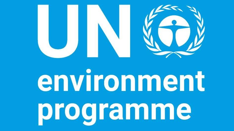 UNEP зарегистрировала несколько успехов, включая Монреальский протокол 1987 года об ограничении выбросов газов, наносящих ущерб озоновому слою, и Минаматскую конвенцию о ртути 2017 года UNEP зарегистрировала несколько успехов, включая Монреальский протокол 1987 года об ограничении выбросов газов, причиняющих вред озоновому слою, и Минаматскую конвенцию о ртути 2017 года