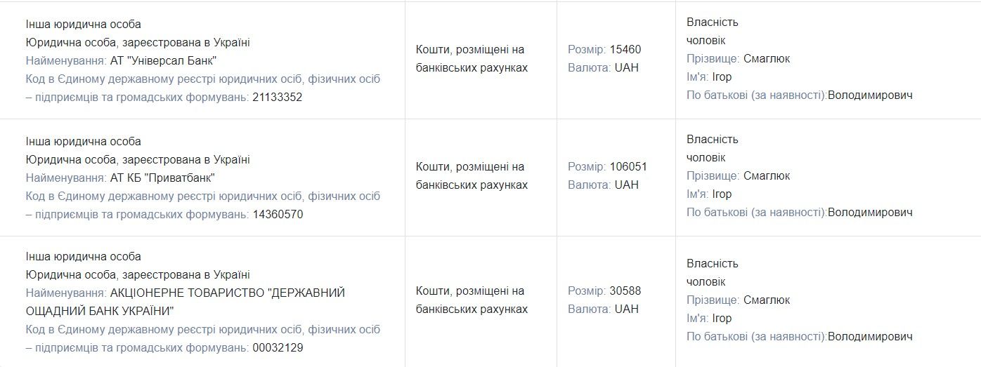 “Слуга” Василевська-Смаглюк під час війни придбала авто майже за 2 млн гривень 10