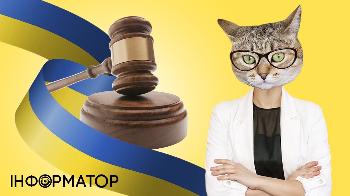 Какой сегодня, 15 декабря, праздник - День пастухов кошек и работников суда Украины