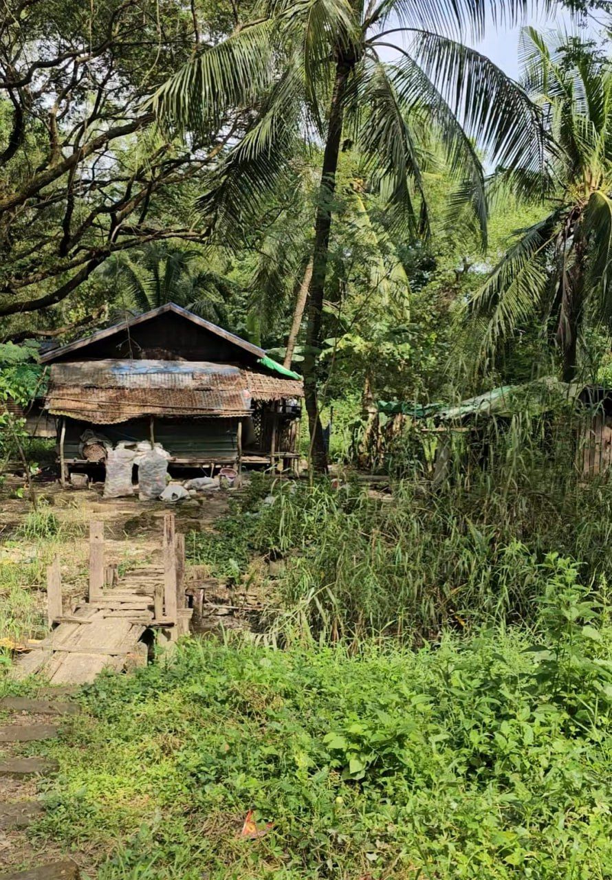 У М’янмі триває порятунок 21-річної українки: її викрали, били та змушували працювати 3