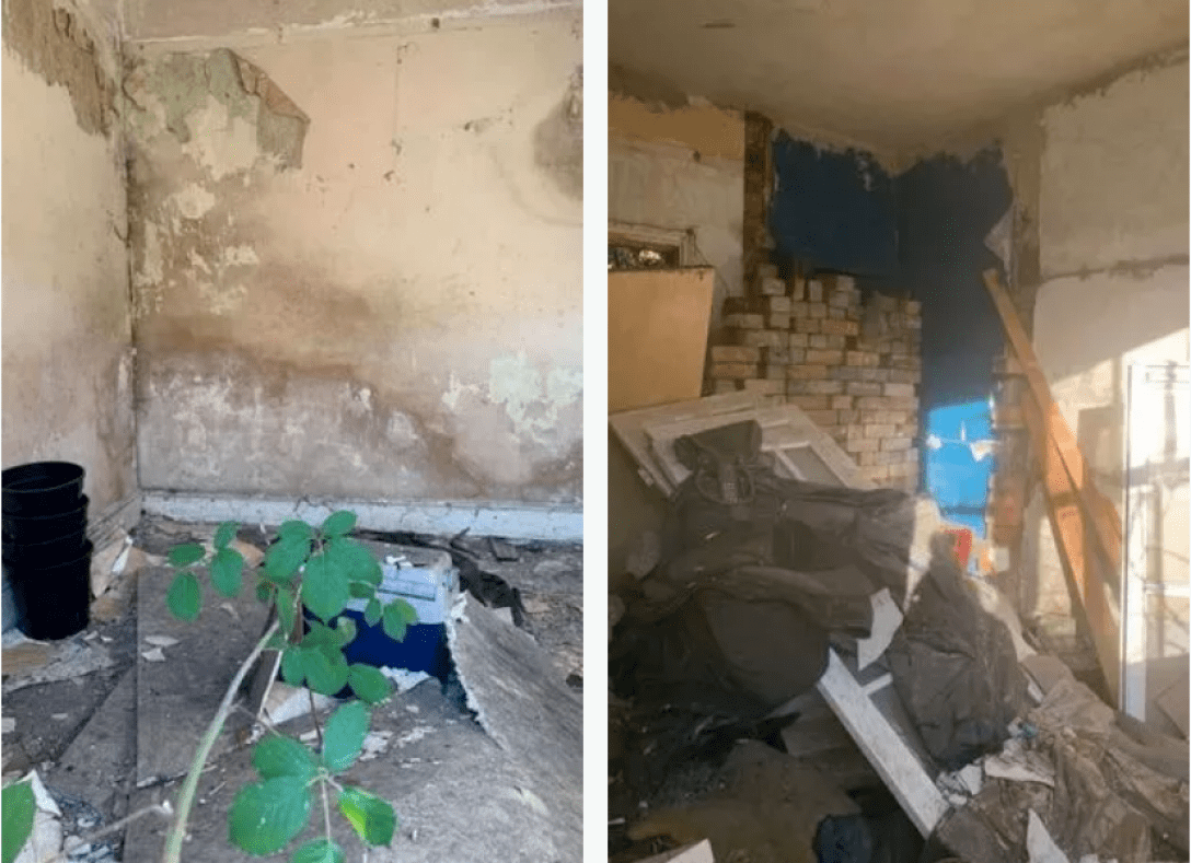 Листя починає вторгатися в будинки