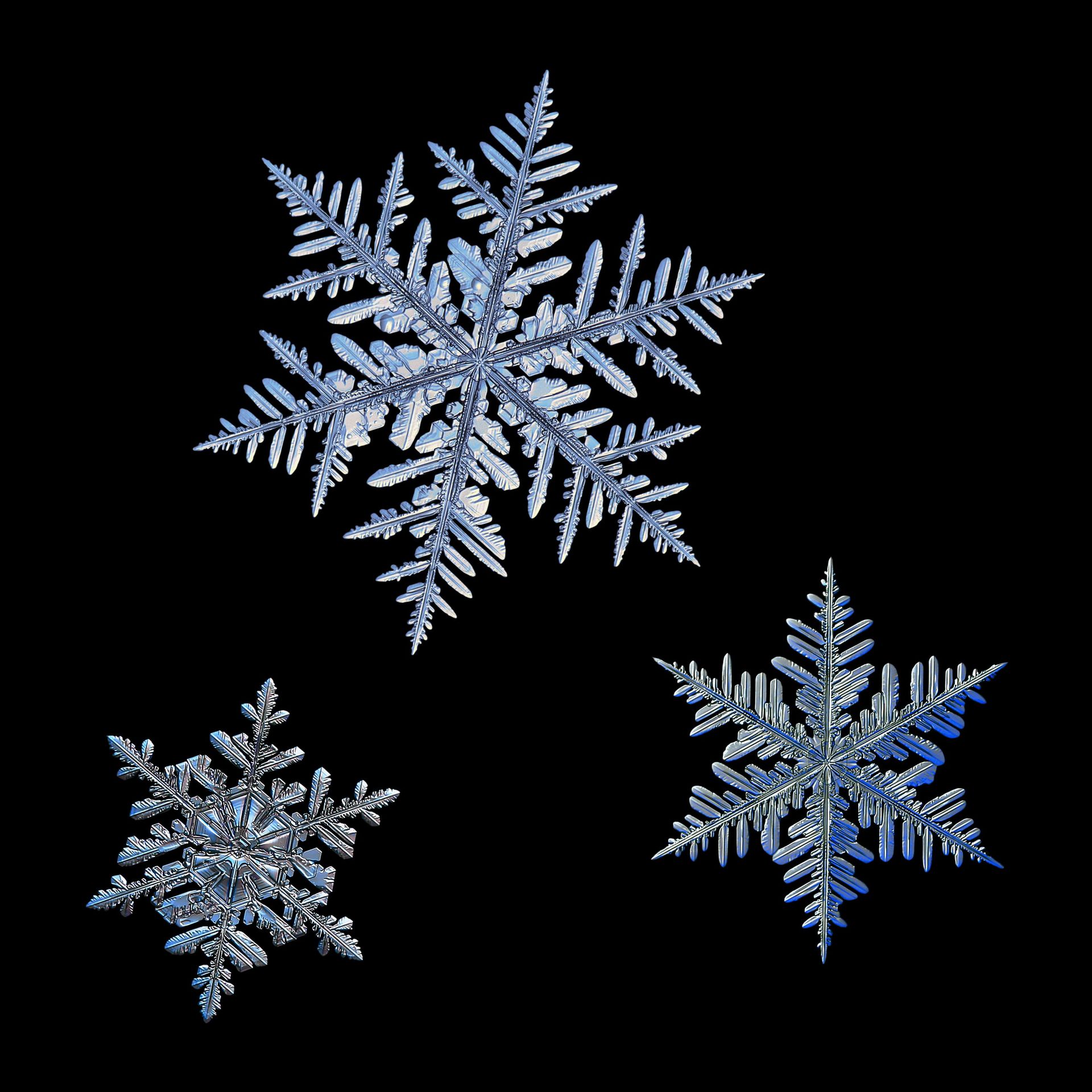 Як виявилося, класична різдвяна "зіркова" сніжинка - лише одна з багатьох форм, які мають майже безмежну різноманітність.