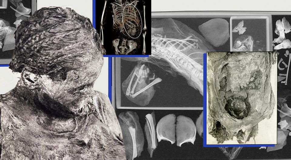 Исследованная мумия Исследованная мумия