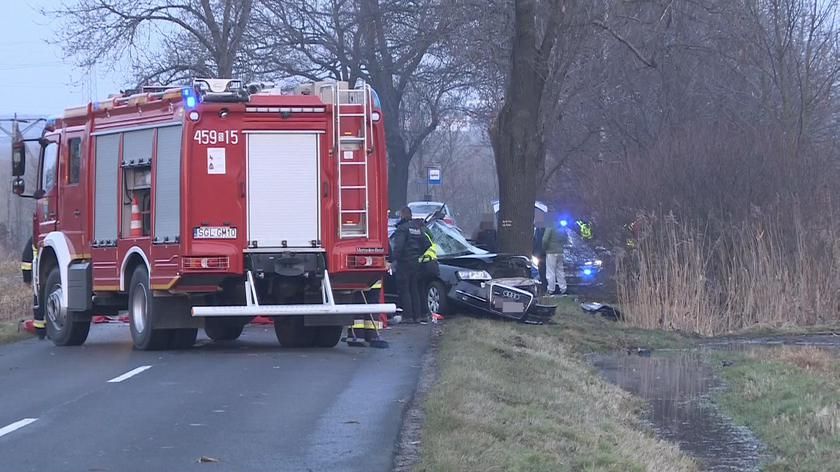 Автомобиль врезался в дерево: в ДТП в Польше близ Гливице погибли трое украинцев - фото 1