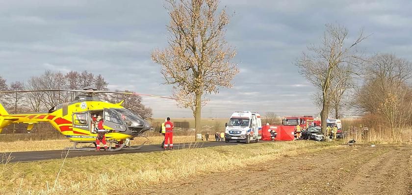 Автомобиль врезался в дерево: в ДТП в Польше близ Гливице погибли трое украинцев - фото 2