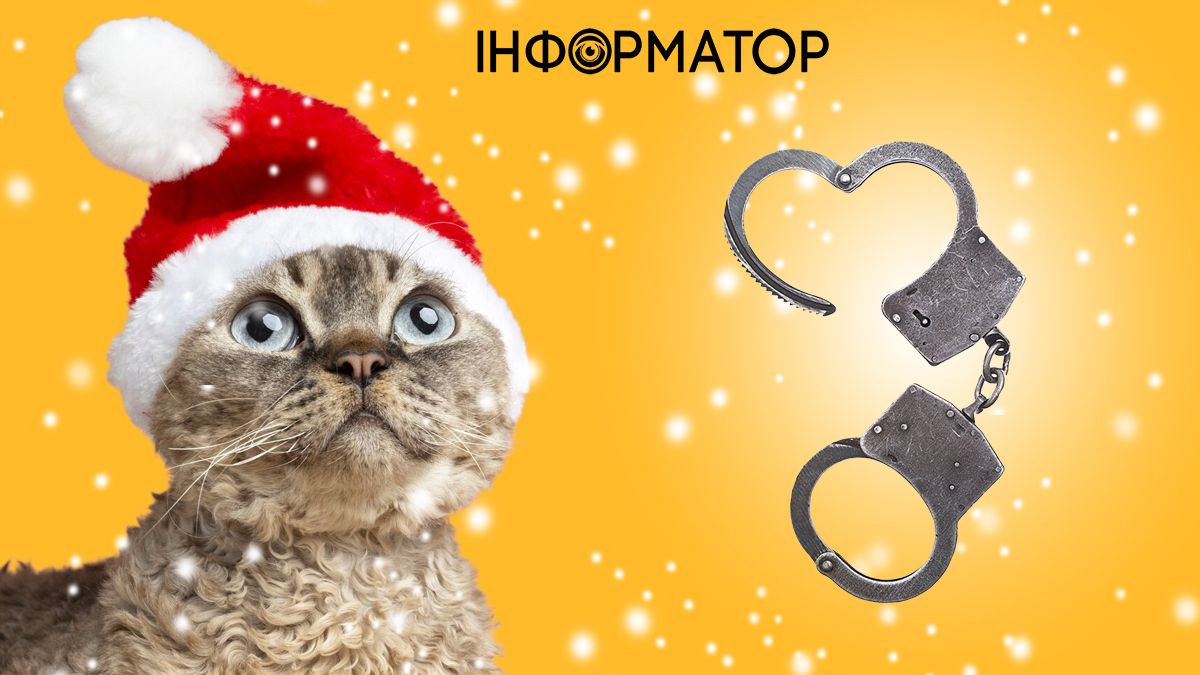 Яке сьогодні, 2 січня, свято - Котячий Новий рік та День в’язня