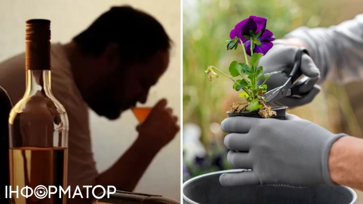 Пьет алкоголь и сажает цветы