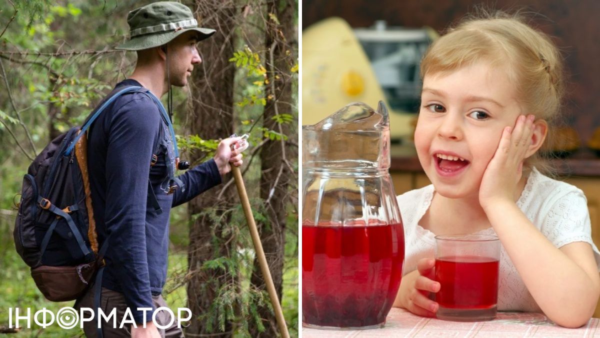 Ходит в лесу и пьет кисель