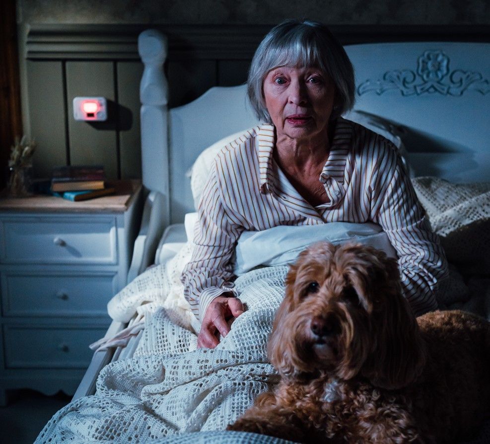 Животные раньше людей чувствуют действие газа. Животные раньше людей чувствуют действие газа.