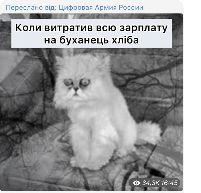 цифровая армия россии